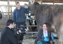 Veterinarian Dr. Jessica Scillieri Smith, right, with Quality Milk Production Services, Canton, NY, talks with a television reporter about dairy cow mastitis research. Farm owner Heather Hyman of Hy-Light Farms, Adams, NY, holds one of her prized Jersey cows. Photo: Northern New York Agricultural Development Program
