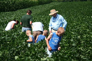 Field day participants scout a Northern New York soybean field for pests with J. Keith Waldron of the New York State Integrated Pest Management Program at Cornell University. Photo: Northern New York Agricultural Development Program/Kara Lynn Dunn